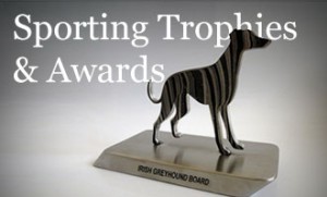 created-trophies-awards-sporting